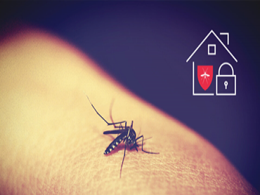 Scapă de insectele nedorite cu sistemul tău de casă inteligentă!