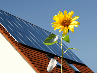 TVA redus 5% pentru panourile fotovoltaice și panourile solare termice